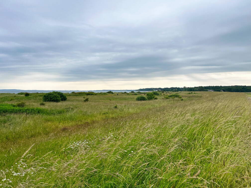 24-06-21 13-10-12 9750